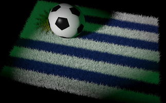 九游中心官网-中国足球比赛数据完整度统计,中国足球比赛数据完整度统计表