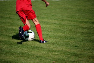 九游网页版官网-篮球运动员心理韧性提升及干预体系建设，篮球运动员的心理训练